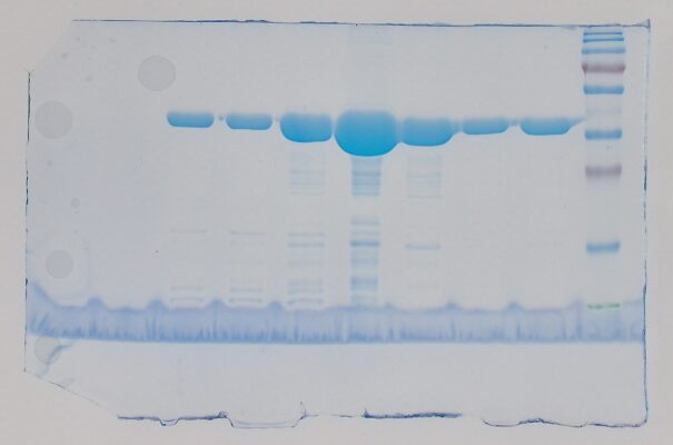 PRO-18 AF 4K - gel layers