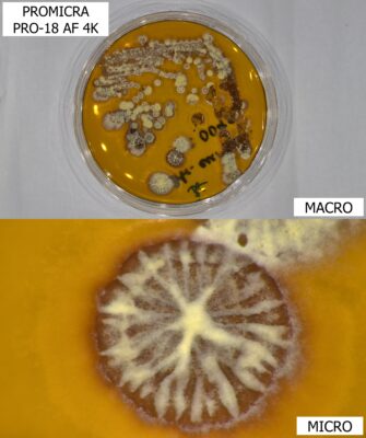 PRO-18 AF 4K - Microbiology
