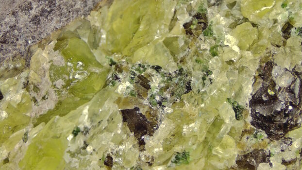 PRO-7 3D 5M Mineral
