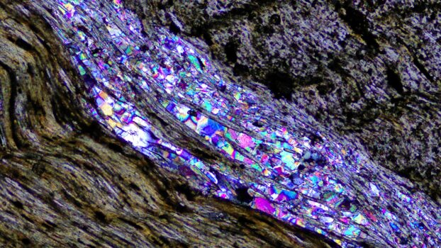 PROMICAM HDMI 16 polarized light
