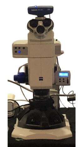 Zeiss Axio Zoom.V16 with Sunflower illuminator
