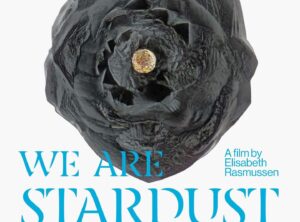 "We are stardust" movie poster