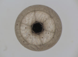 Bearing ball composed by Deep Focus