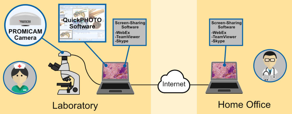 Remote Diagnostics PROMICRA